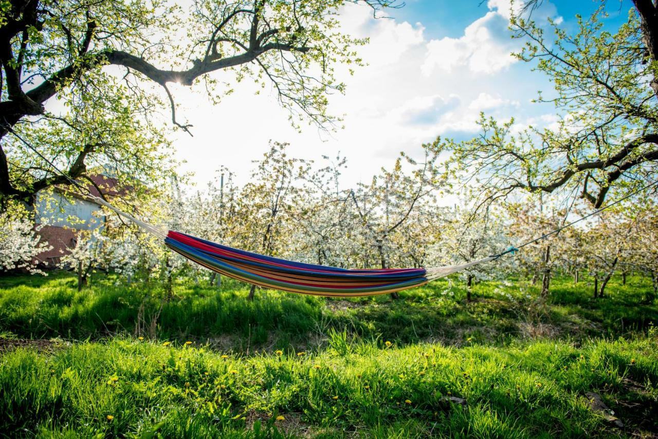 Deichkroenchen Ferienwohnung Altes Land Hamburg Jork Dış mekan fotoğraf